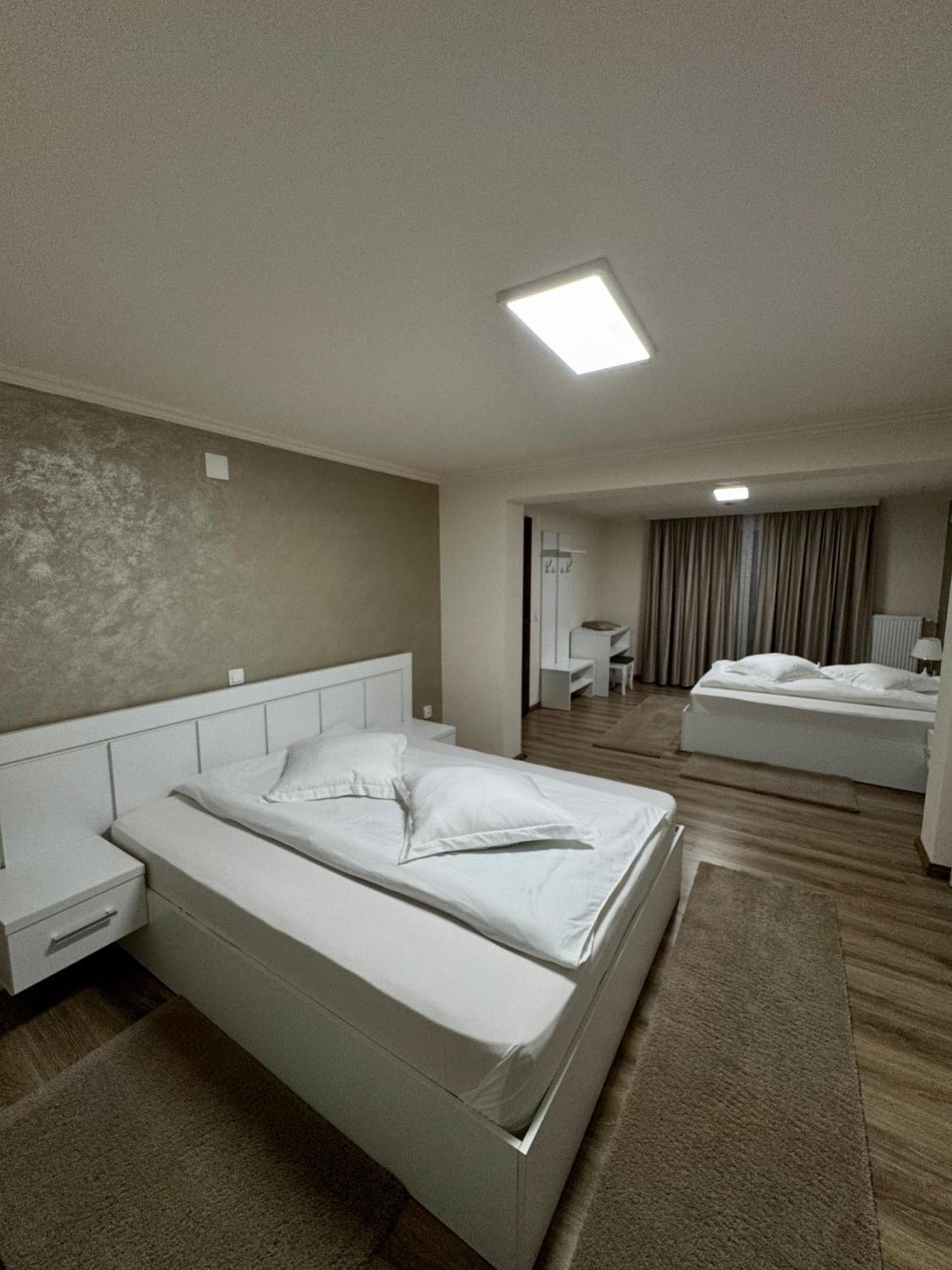 Conacul Pestera Ursilor Chiscau エクステリア 写真