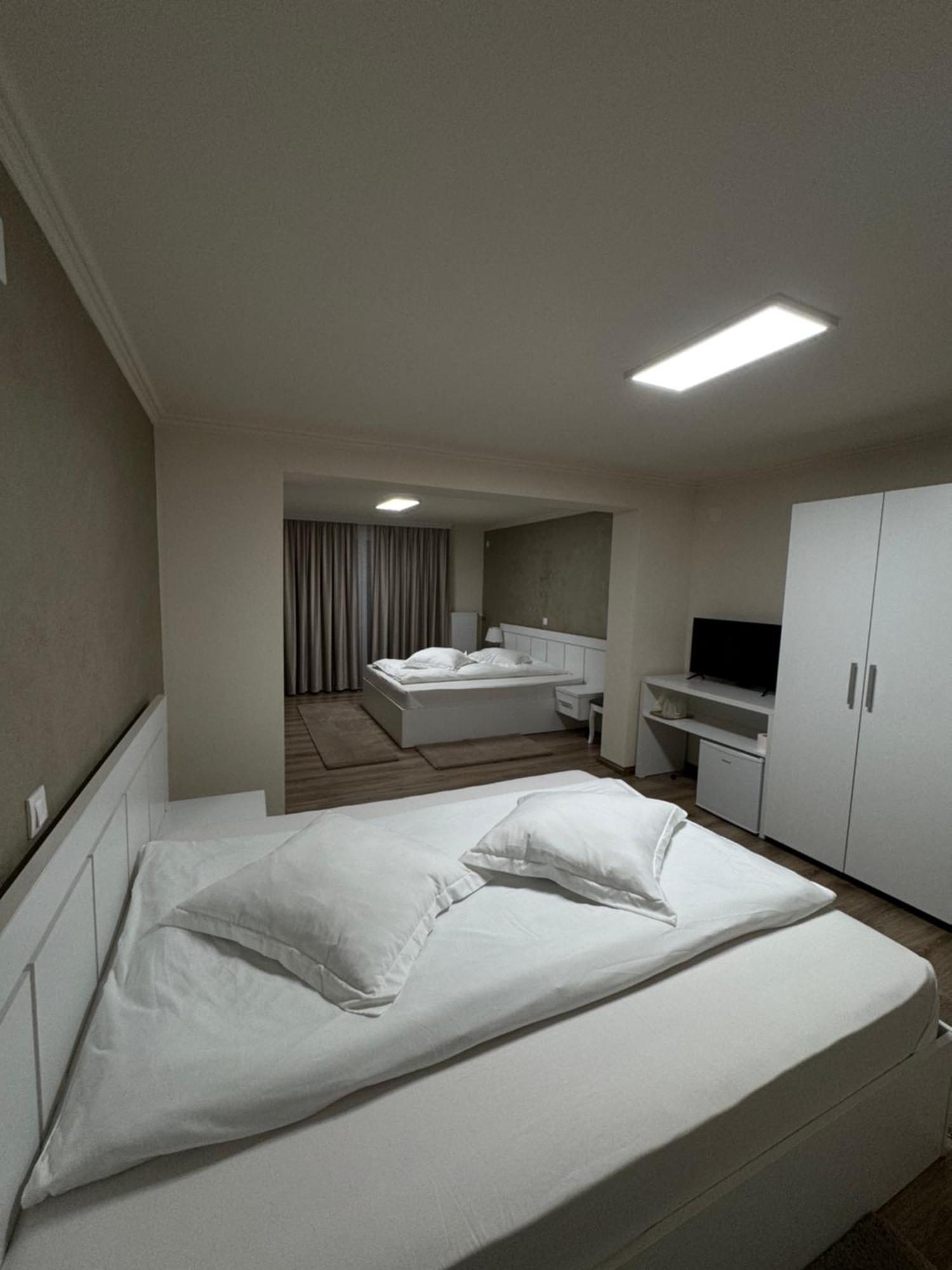 Conacul Pestera Ursilor Chiscau エクステリア 写真